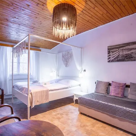 Maison d'hôtes Sofinata Pension Špindlerŭv Mlýn
